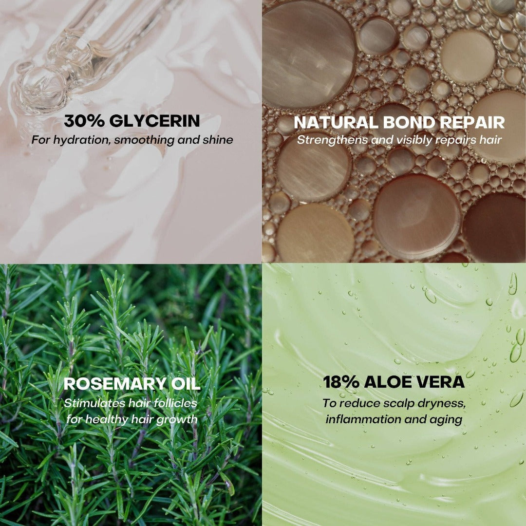 Key Ingredients in Everist shampoo and conditioner travel duo package 