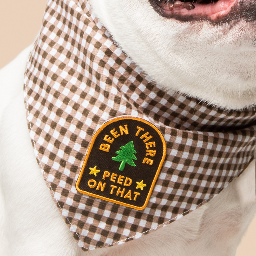Dog wearing a checkered bandana with a patch that says 'Been There, Peed on That'.