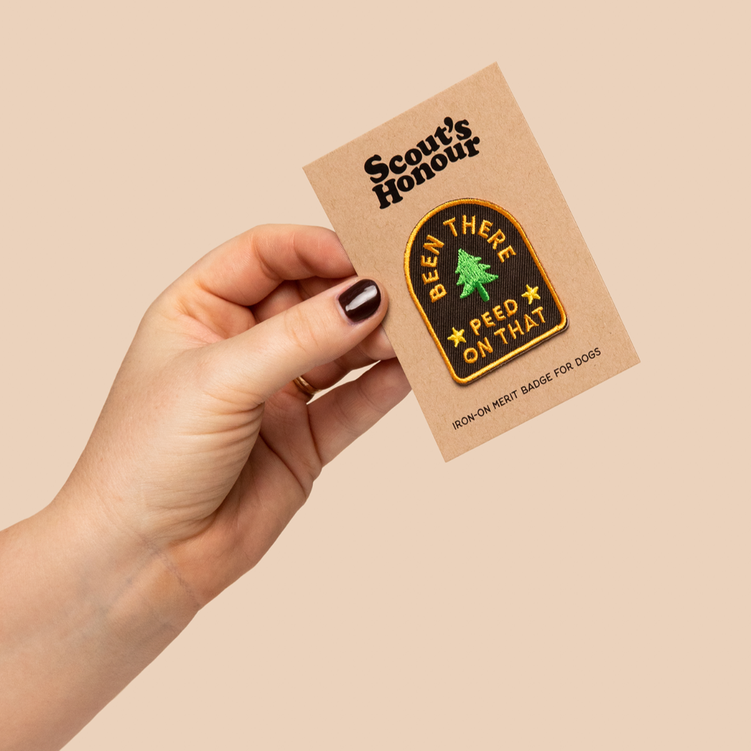 Hand holding a Scout's Honour badge packaging with a badge on a beige background