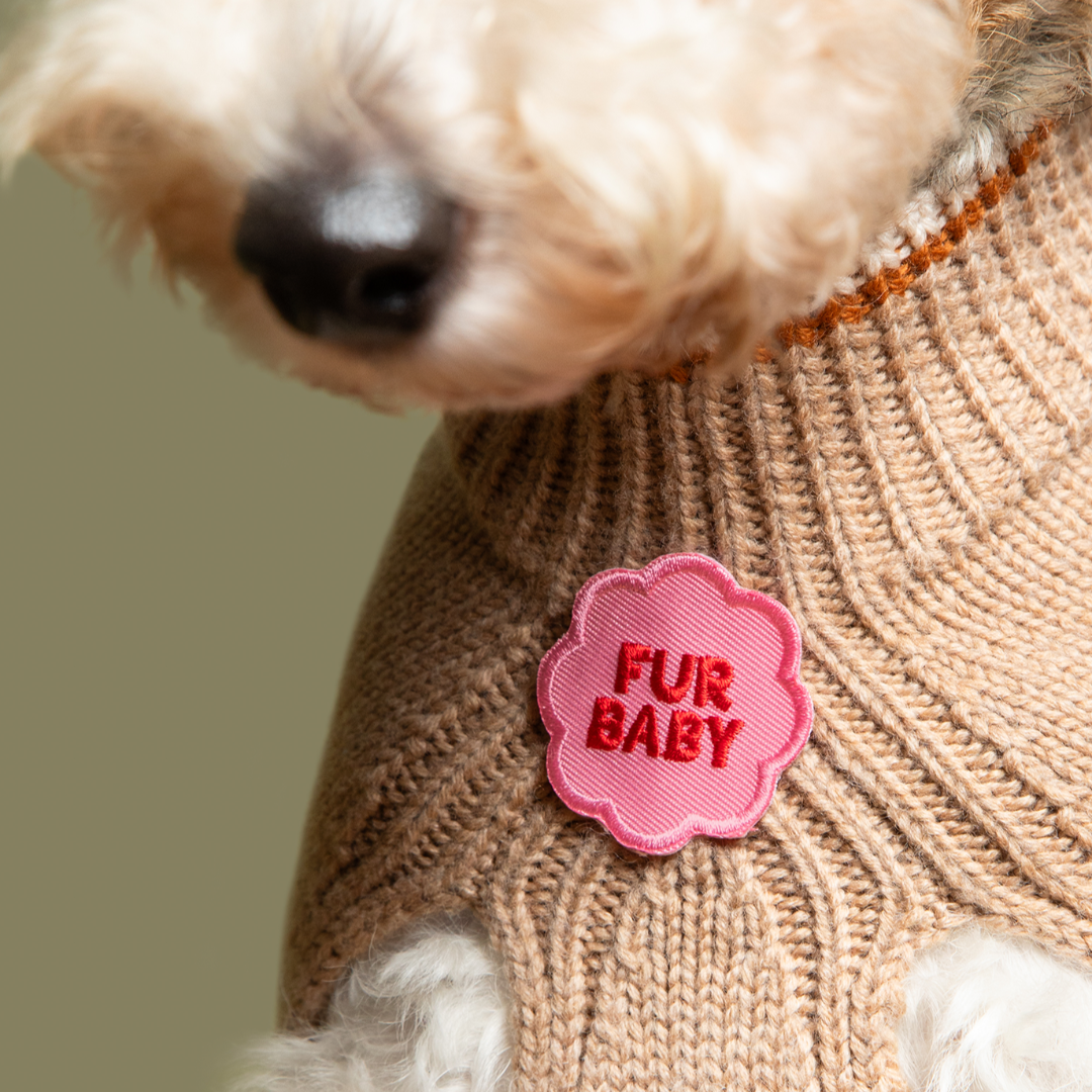 Dog wearing a brown sweater with a pink 'FUR BABY' patch on a green background