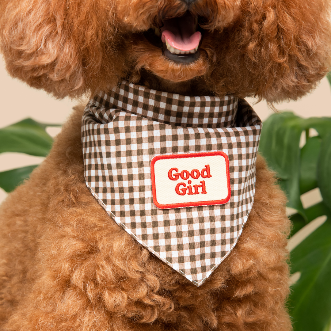 Brown dog wearing a checkered bandana with 'Good Girl' on a neutral background
